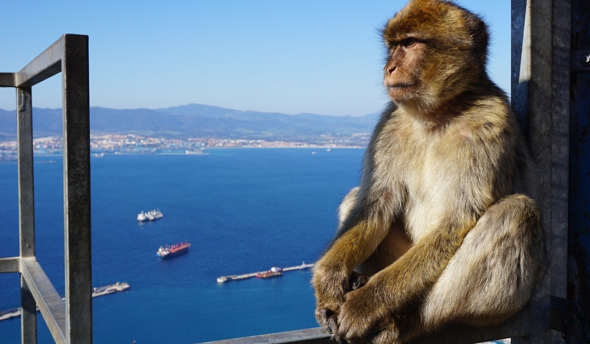 1 giorno di viaggio a Gibilterra con partenza da Faro
